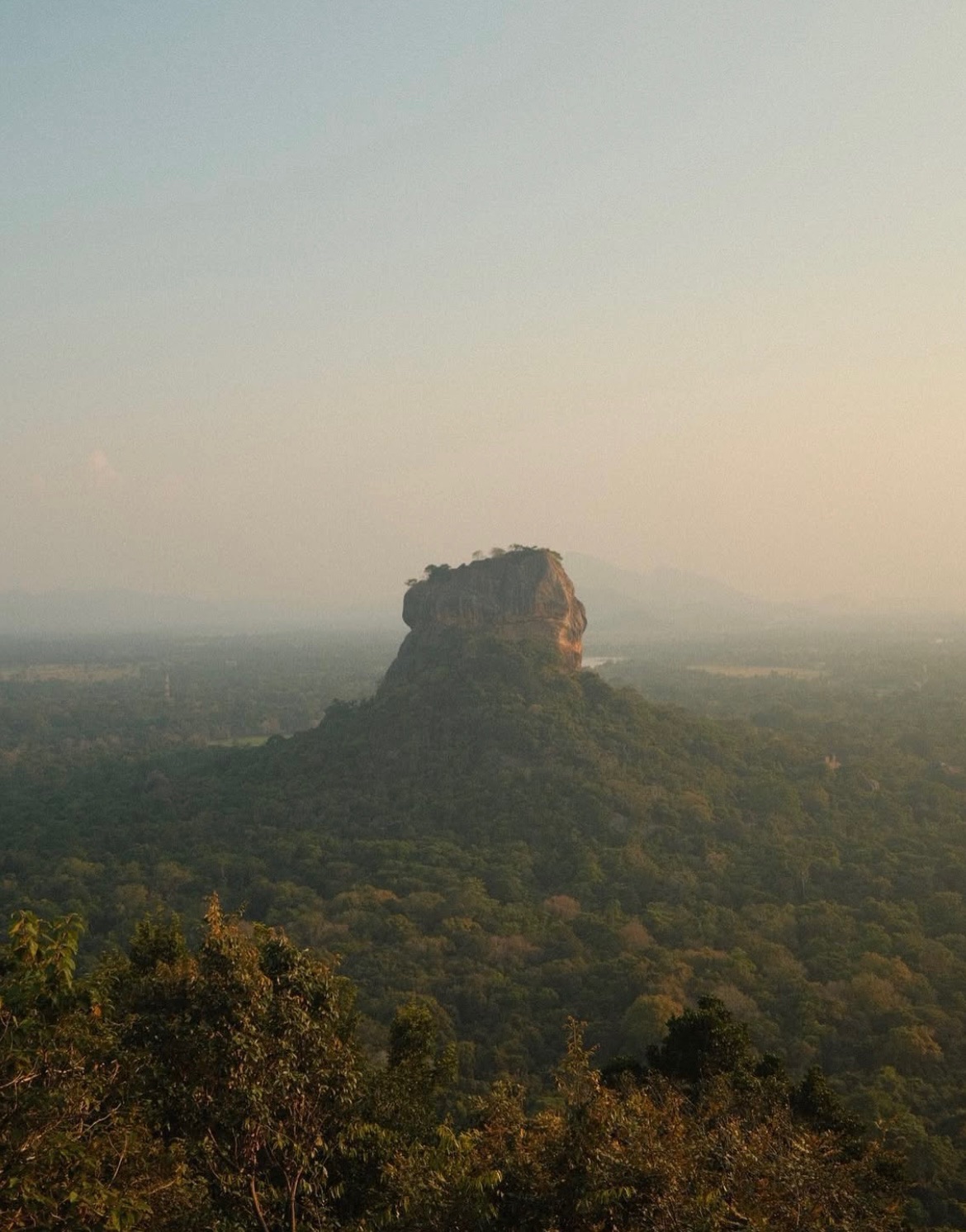 Sigiriya Lion Rock rising from the jungle in golden haze