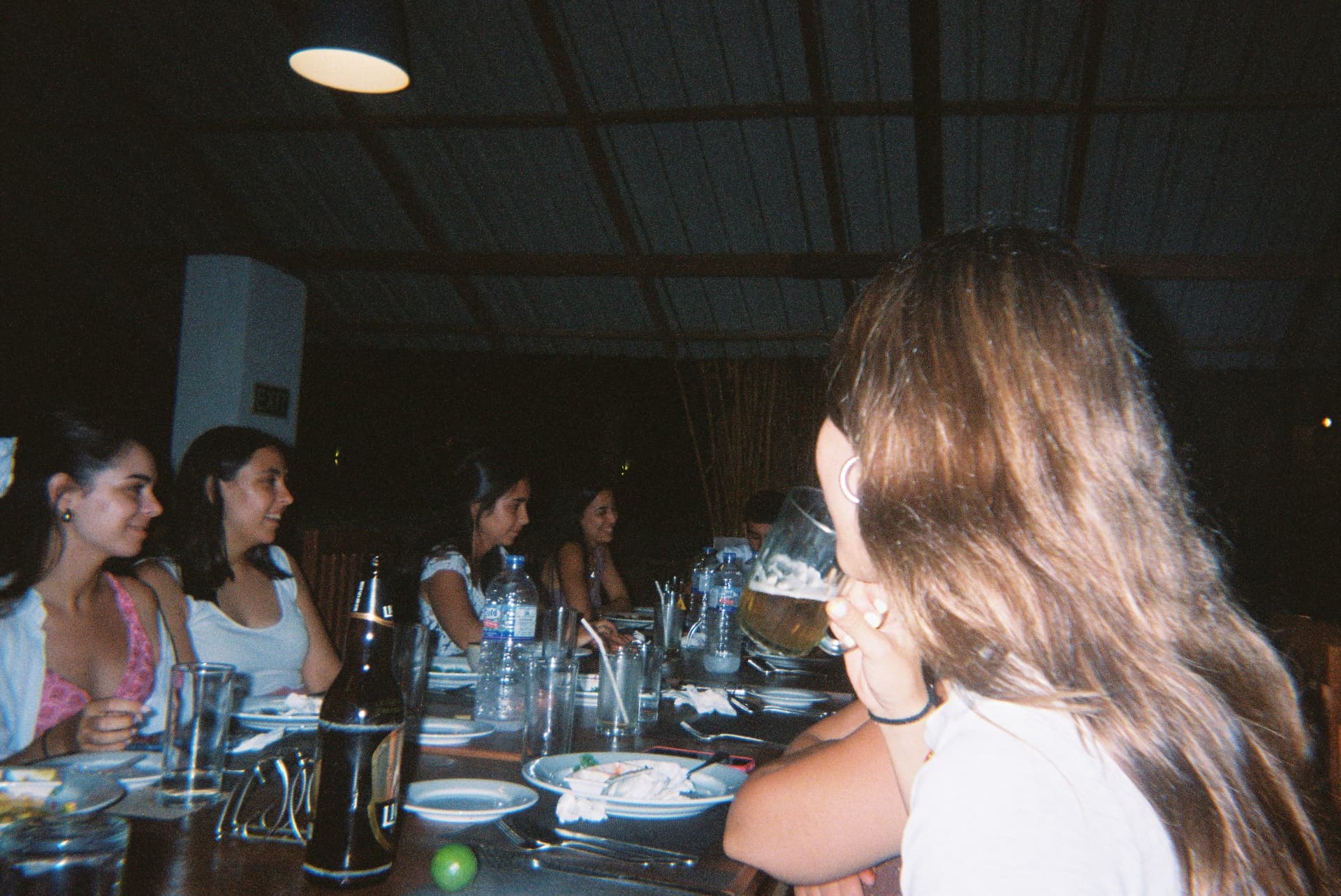 Friends sitting along a long dinner table with beer and plates