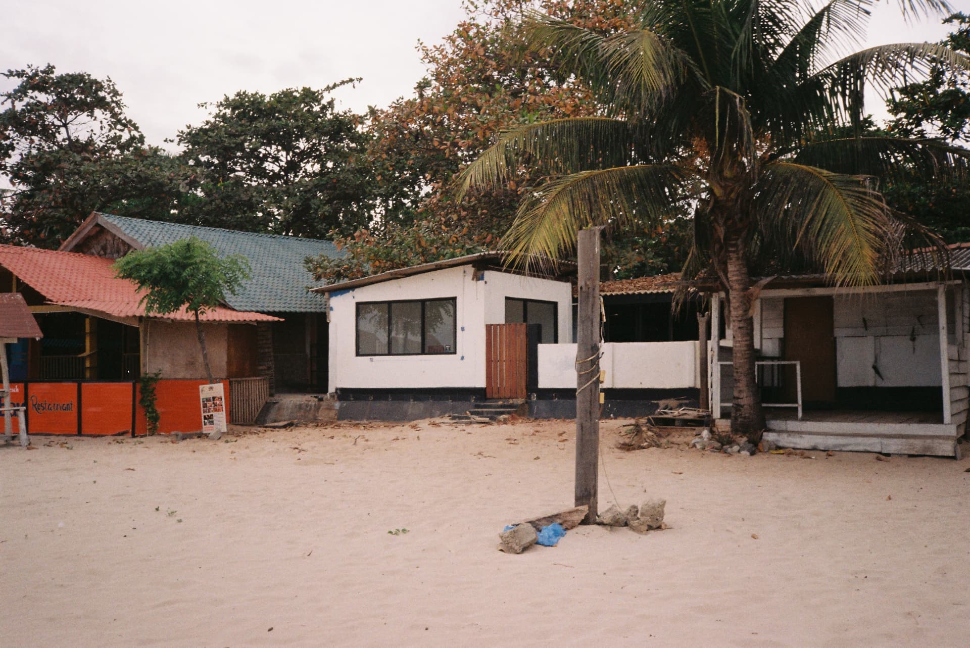 Beach restaurants and cabanas behind a coconut palm